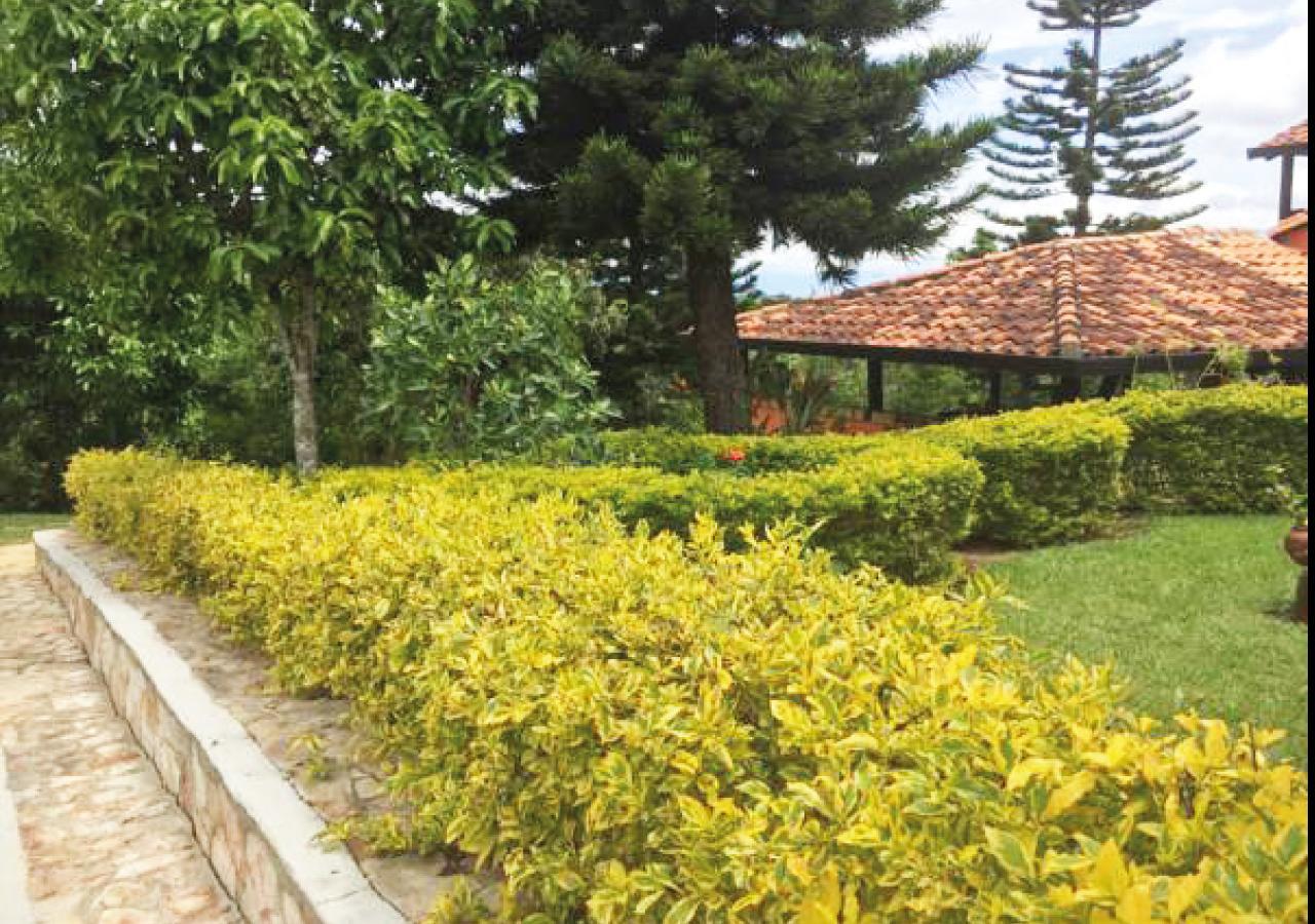 Hotel Cristo Rey Campestre Los Santos  Bagian luar foto
